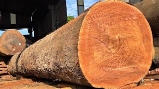 Amazing Sawmill Wood Cutting - Extremely Powerful Chain Saw Cuts Giant Wood Trees