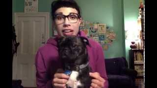 How Dogs Help Depression