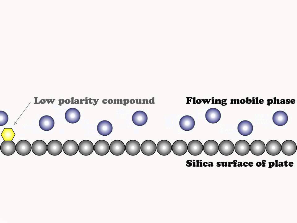 Chromatographic Separation Explained YouTube