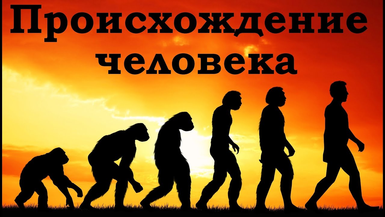 Станислав Дробышевский - Происхождение человека - YouTube