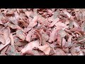 Dawa Hii Inatumika Kwenye Mapenzi Tu Kuoga Kujipaka Na Kuchoma 255786317169 255620538801 