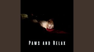 Pet's Path to Relaxation