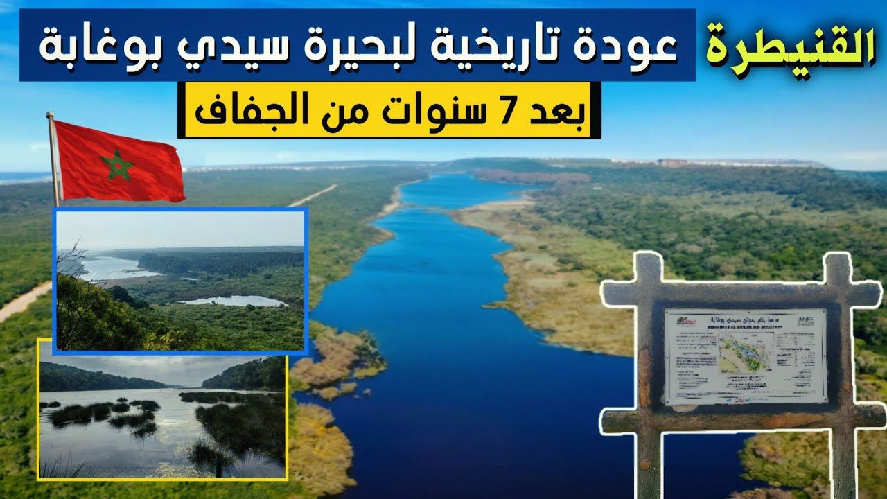 بحيرة سيدي بوغابة صدمت الجميع! بعودة تارخية وقوية بعد 7 سنوات من الجفاف. لتعيد البهجة للقنيطرة