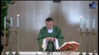 La Santa Misa de Hoy | Lunes de la XII Semana del Tiempo Ordinario | 26-06-2023| P. Javier Martín FM