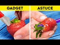 Gadgets de Cuisine vs Astuces 🔪🍳Améliorez Votre Jeu de Cuisine au Niveau Supérieur