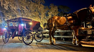 Walt Disney World Horse & Carriage Ride Excursion At Fort Wilderness Campground + Food Truck Night!