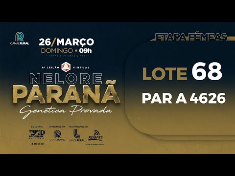 LOTE 68 PAR A4626