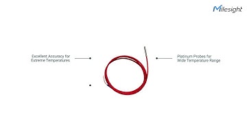 Milesight PT100 Industrial Temperature Sensor