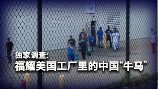 Download Lagu 神秘“第三方”：中国牛马输出海外的隐秘路径 MP3