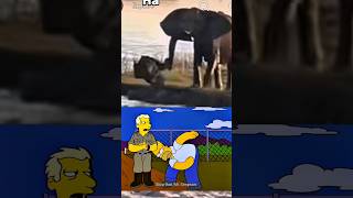 Some Elephants Are Just Jerks