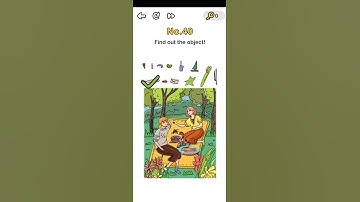 Brain out level 40 Find out the object. Walkthrough