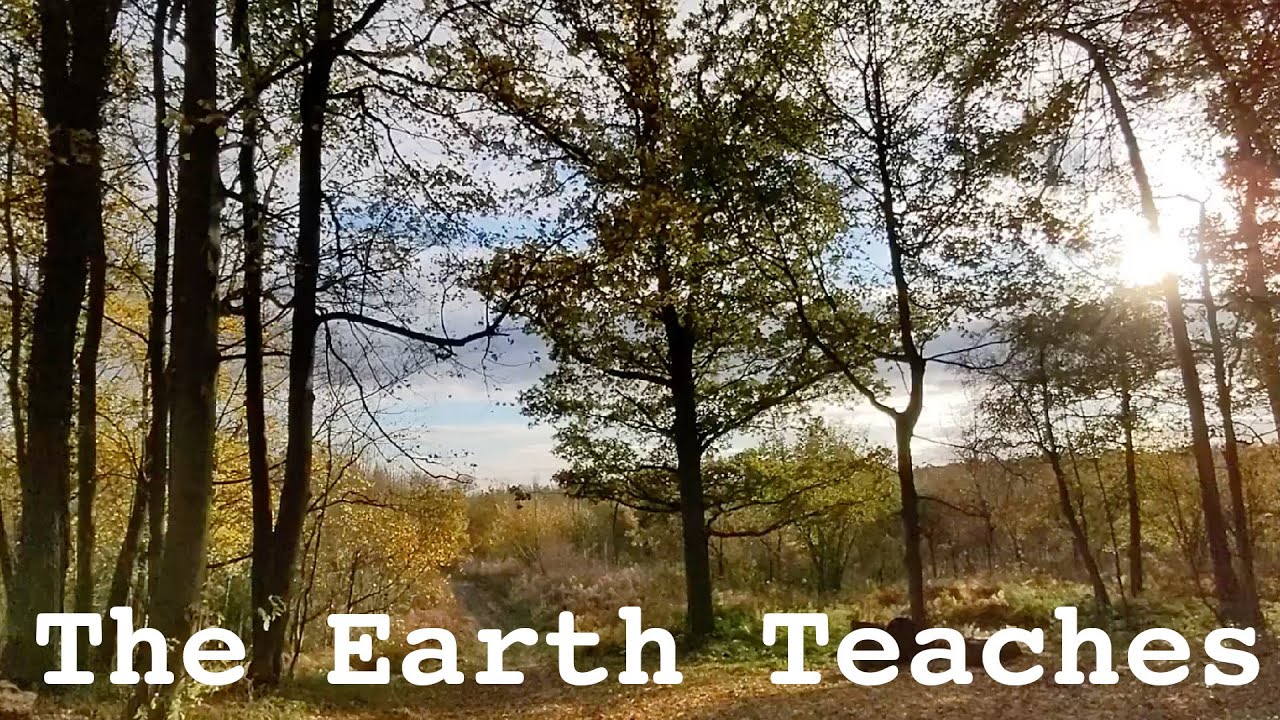 This is what the earth teaches me   |  #shorts