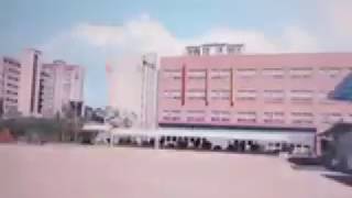 Canimals The Complete Series S3 E6 Glider Trip