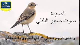 Sawto safir al bolbol صوت صفير البلبل Arabic Poem   YouTube Resimi