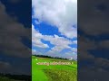 amazing natural look