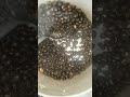 Palm Kernel Seed Oil