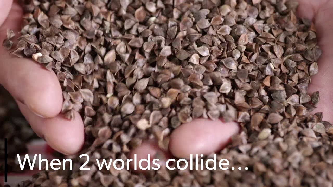 Japanese Buckwheat Pillow - When Two Worlds Collide - PineTales