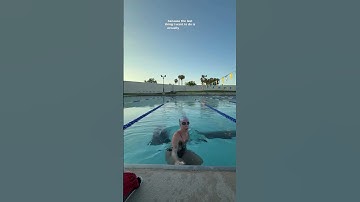 Love Swimming, Hate Writing Workouts? Try This App 🏊