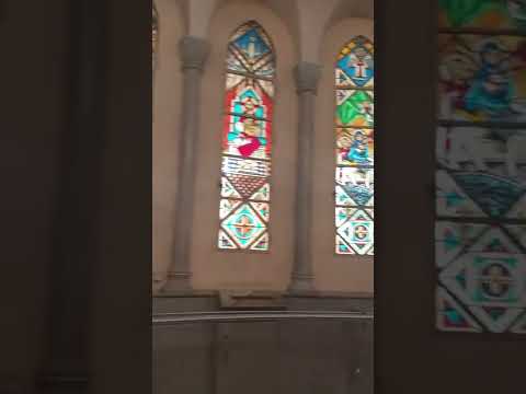 مزار مارمرقس من الكاتدرائيه