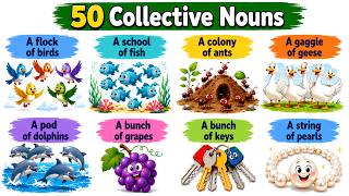 50 Collective Nouns in English | Everyday English Vocabulary Words