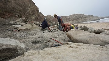 Dinosaur Digging in Jurassic Coast of Western Europe