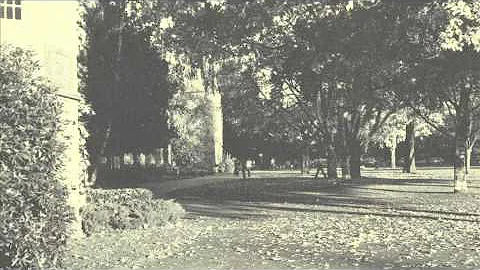 Robert Palladino at Reed College