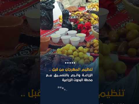مهرجان التمور في سيئون بوادي حضرموت باليمن