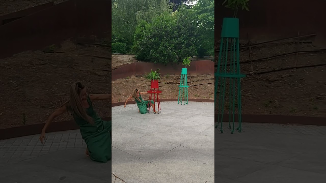 PAOLA CABELLO & DRACAENA 