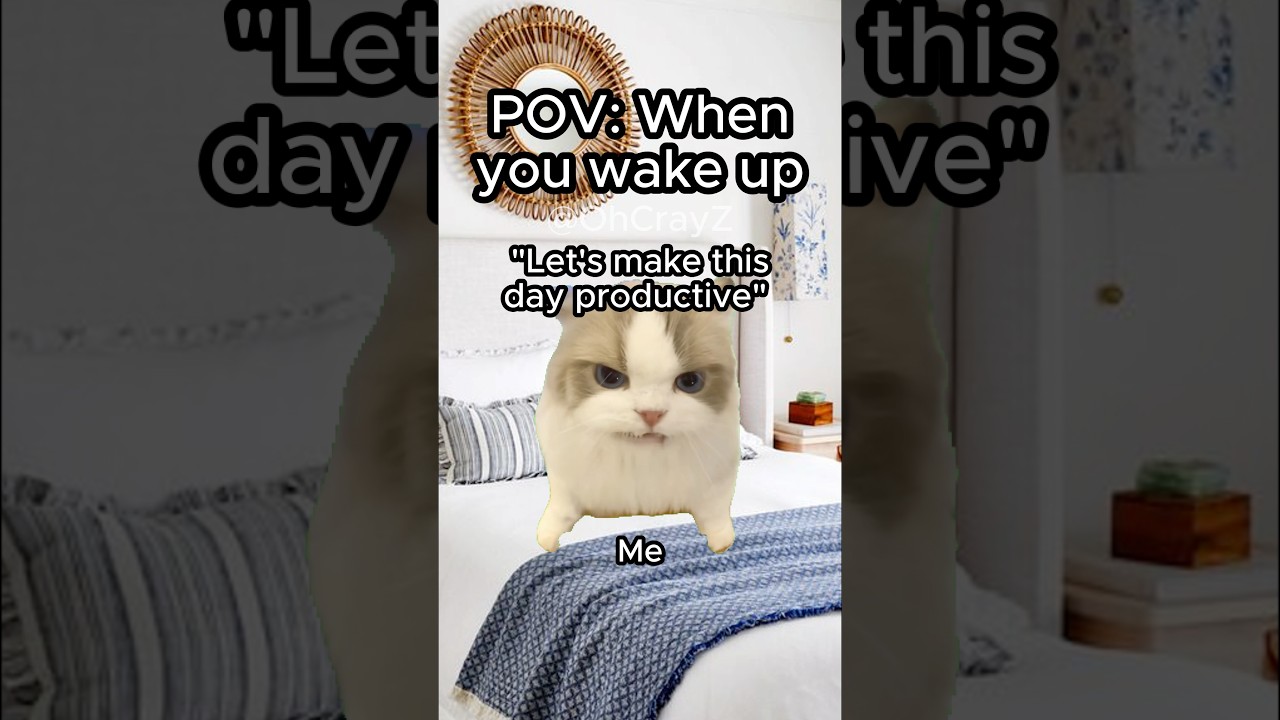 CAT MEMES 🐱 WHEN YOU WAKE UP 