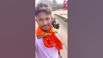 Doggy Ke Pair Me Chot Lag Gya😨 | Mini Vlog#vlog #minivlog #shortvideo #shorts