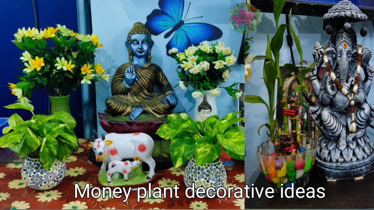 Money plant decorative ideas Indoor plant decoration Money plant