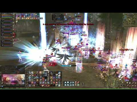 Lineage II Amerika - Siege - 23/11/2025 - Amerika High Five PvP