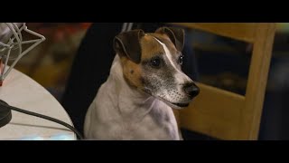 A.R.C.H.I.E. (2016) trailer
