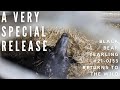 A Special Release: Black Bear Yearling #21-0153 Returns to the Wild
