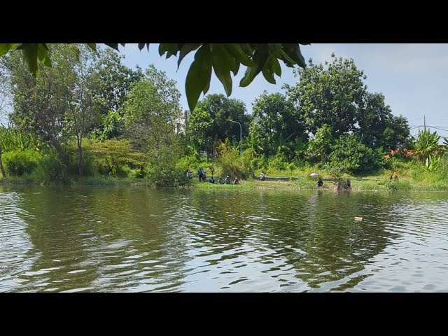 Kotomono angler sedang live mancing lagi