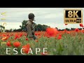 Normandy, France - D-Day 75th Anniversary Battlefields - Visual Escape in 8K