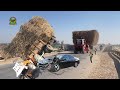 Fiat 640 Tractor loaded Trailer of sugarcane Crossing motorway bridge (Apna punjab)