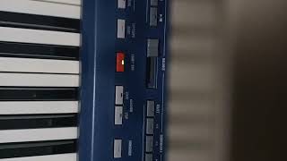 Korg Pa800 Elektro Kara Üzüm Habbesi Deneme Ses Deneme 2021 Ciftelli Deneme Karauzum