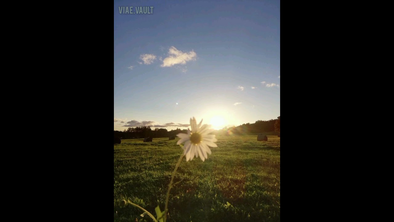 Cloves of Ives- Locked Horizon ( Demo version ) auf YouTube ansehen Cloves of Ives- Locked Horizon ( Demo version ) auf YouTube ansehen