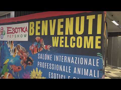 Video Esotika e Giappone in Fiera insieme