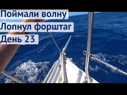 Лопнул форштаг в океане, стараемся не потерять мачту | Трансатлантика день 23