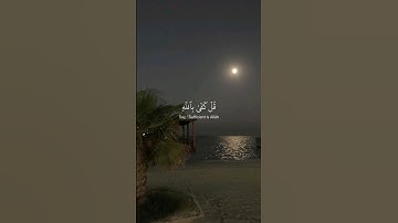 #القارئ #عبدالرحمن_مسعد #قران_كريم #quran #viral #foryou #vocals #راحة_نفسية #explore #fyp