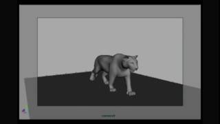 3D Tiger Walk_Rough Draft playblast