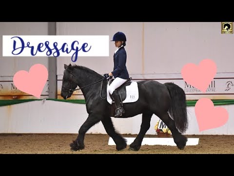 Dressage Final|FREEZING! |The Fell Pony - YouTube