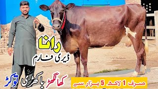 Download Lagu 9 January 2026 MP3