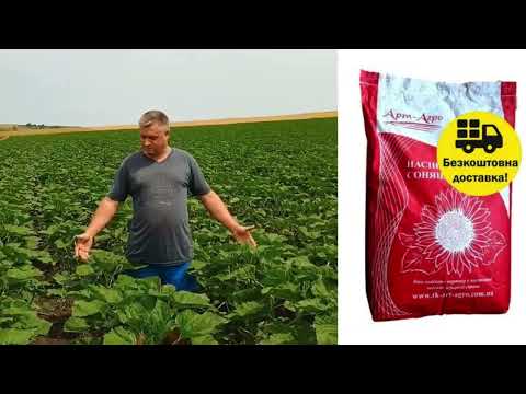 Неймар Плюс насіння