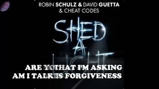 ROBIN SCHULZ & DAVID GUETTA & CHEAT CODES - SHED A LIGHT (LYRICS)