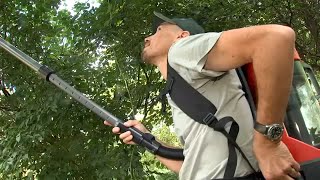 Westchester County Fighting Spotted Lanternflies With Powerful Vacuums