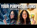 ♌ LEO &mdash; LEAVE THE PAST BEHIND! ✨ YOUR LIFE IS ALIGNING WITH YOUR SOUL PURPOSE ❤️ NEW LOVE IS HERE!