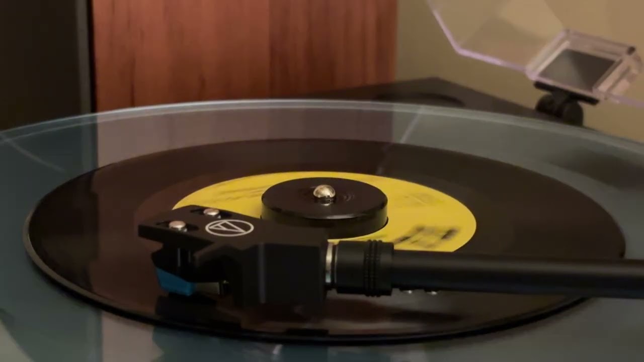 Heading Home For The Holidays - Mary Welch Rogers